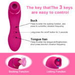 pueasy Sea Lion Double Head a4